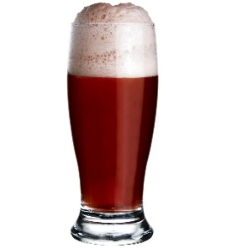 MUNICH VASO CERVECERO 17.6 OZ NADIR