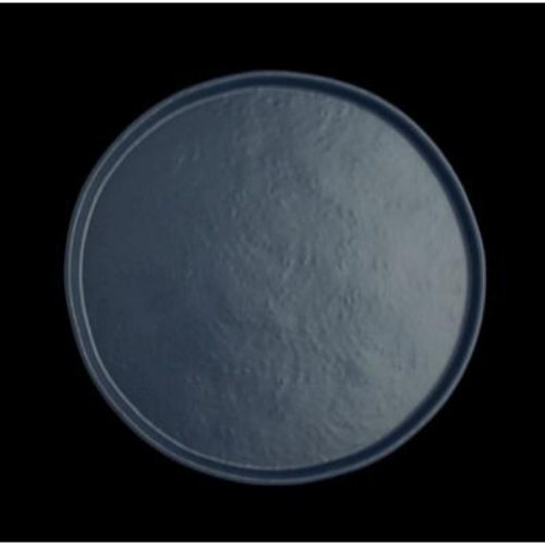 ROUND PLATE  HARBOR 8 1/4 IN X 3/4 IN