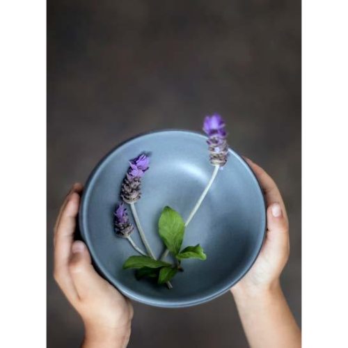 BOWL REDONDO 18 OZ  DENALI MATE